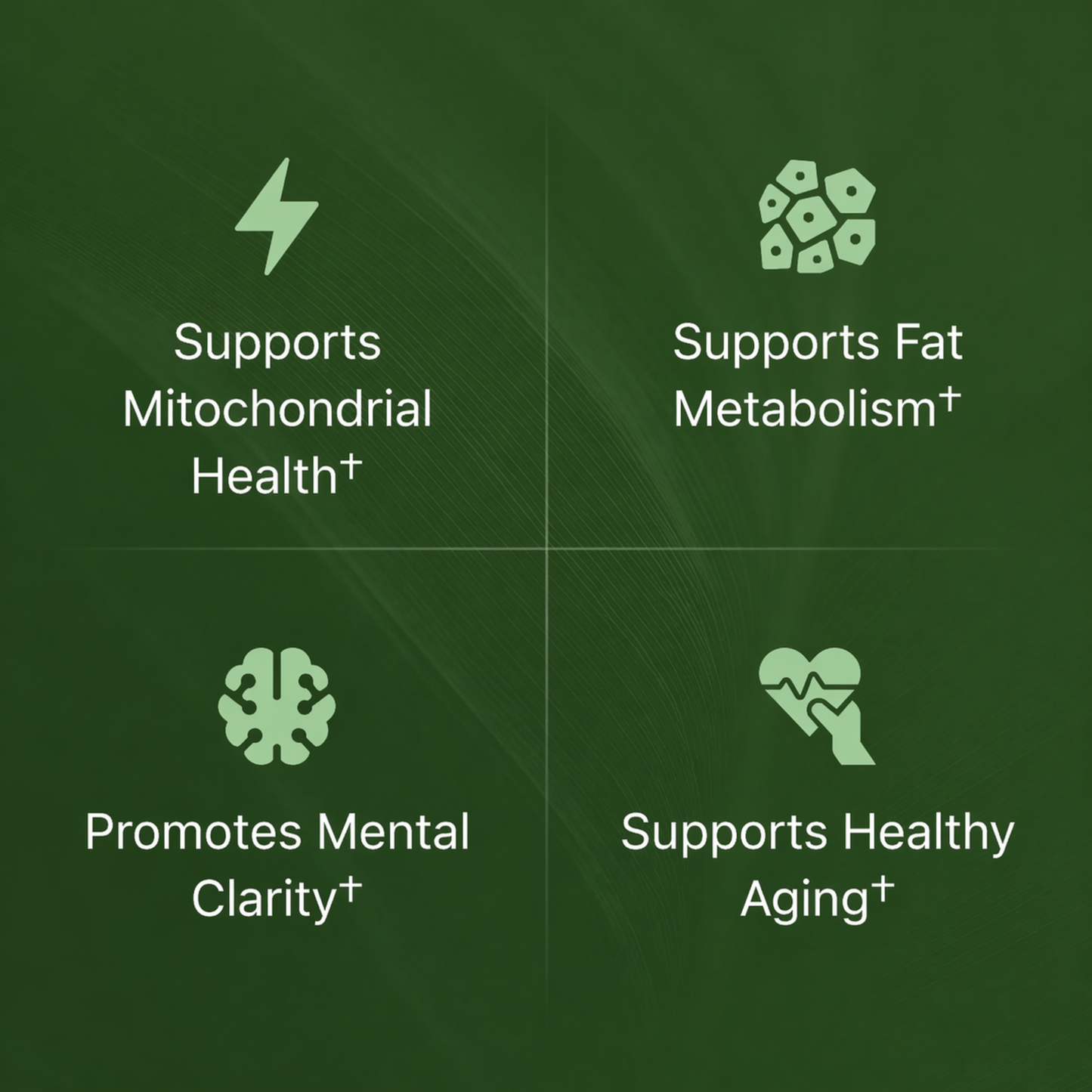 Nutra Vita Amla Superfruit Capsules