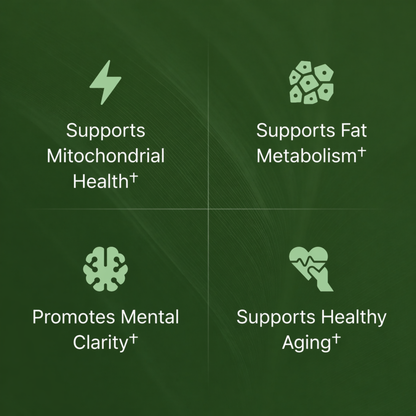 Nutra Vita Amla Superfruit Capsules