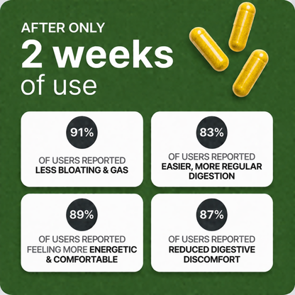 Nutra Vita Berberine Complex - Clinical Grade Berberine for Digestive Reset